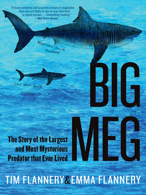 Title details for Big Meg by Tim Flannery - Available